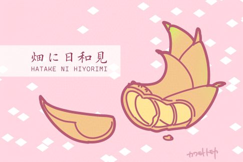 畑に日和見（３）たけのこ