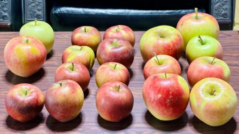 くによしりんご直売所 B級品りんご3kg